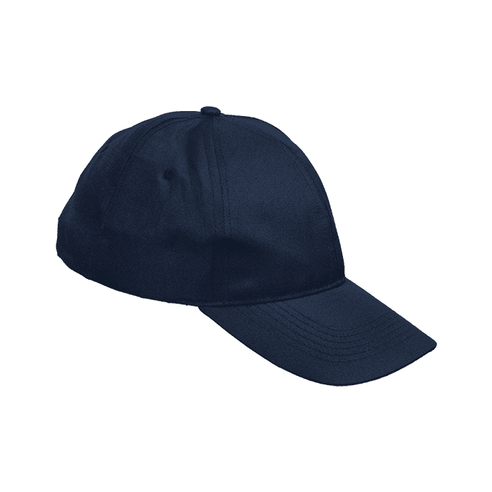6 Panel Boost Cap