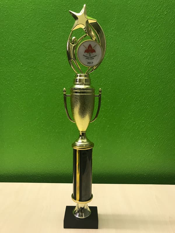 Reaching for the Stars 90C – 40cm