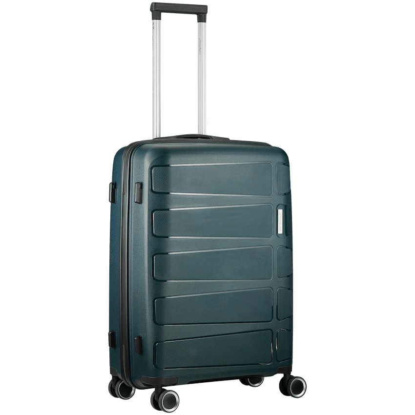 Travelwize Tourer PP 65cm 4-wheel Spinner Luggage Petrol