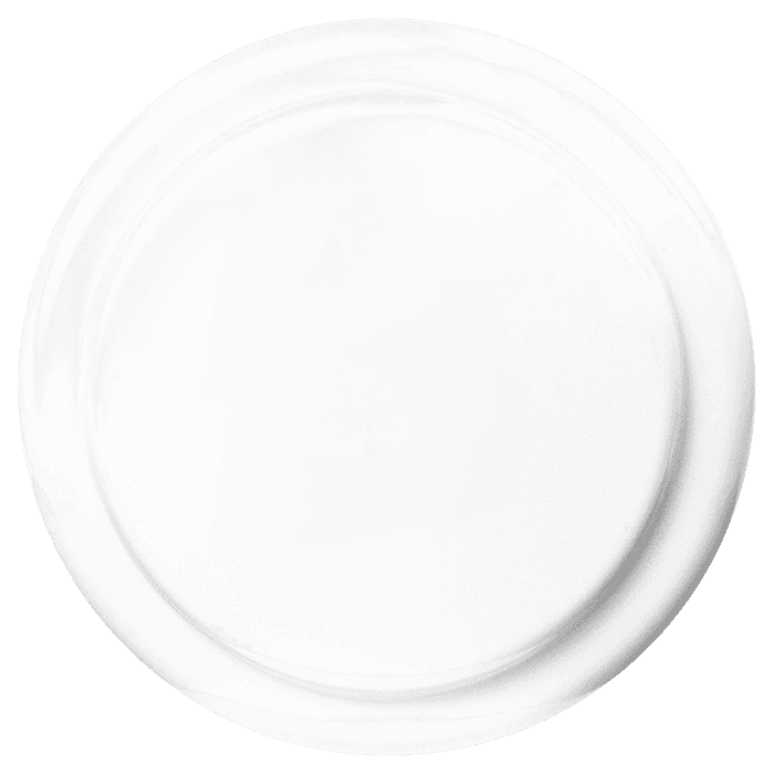 Frisbee Vanessa
