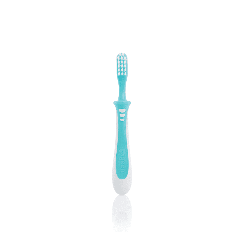 Pigeon - Training Toothbrush Lesson 3 - Green