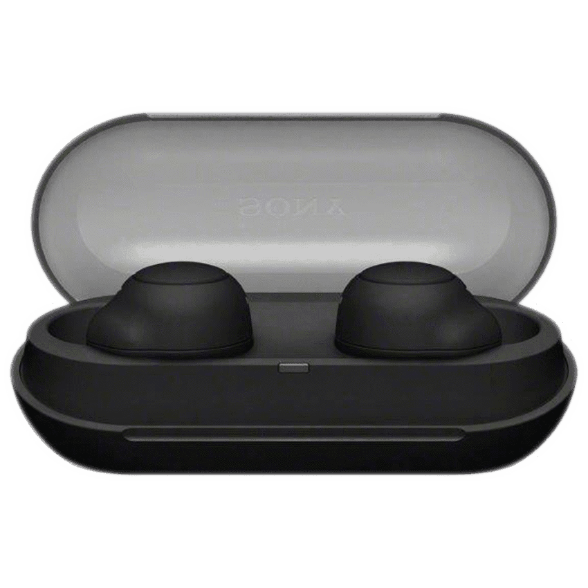 Sony WF-C500 (Black) True Wireless Earbuds
