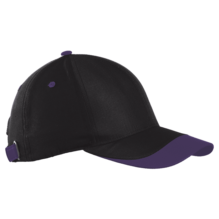 6 Panel Sway Cap