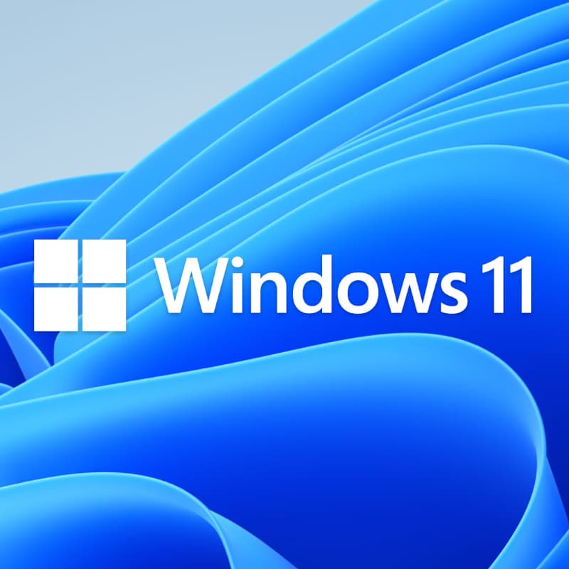 Microsoft Windows 11 Home Plus Single Language OEM