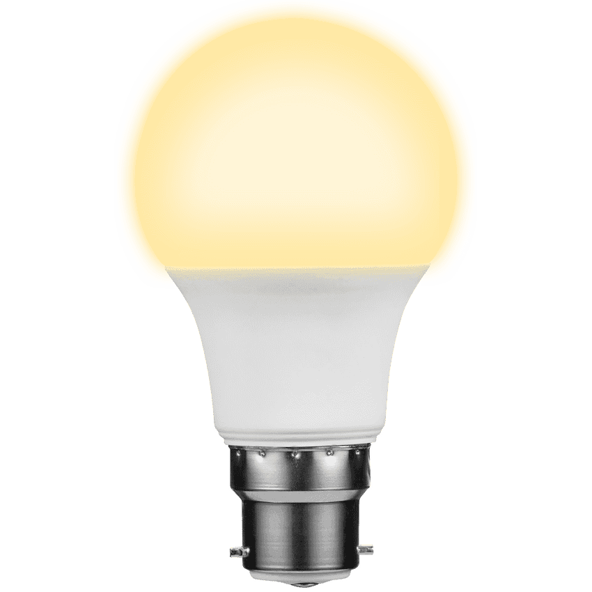 Switched 5w A60 Light Bulb B22