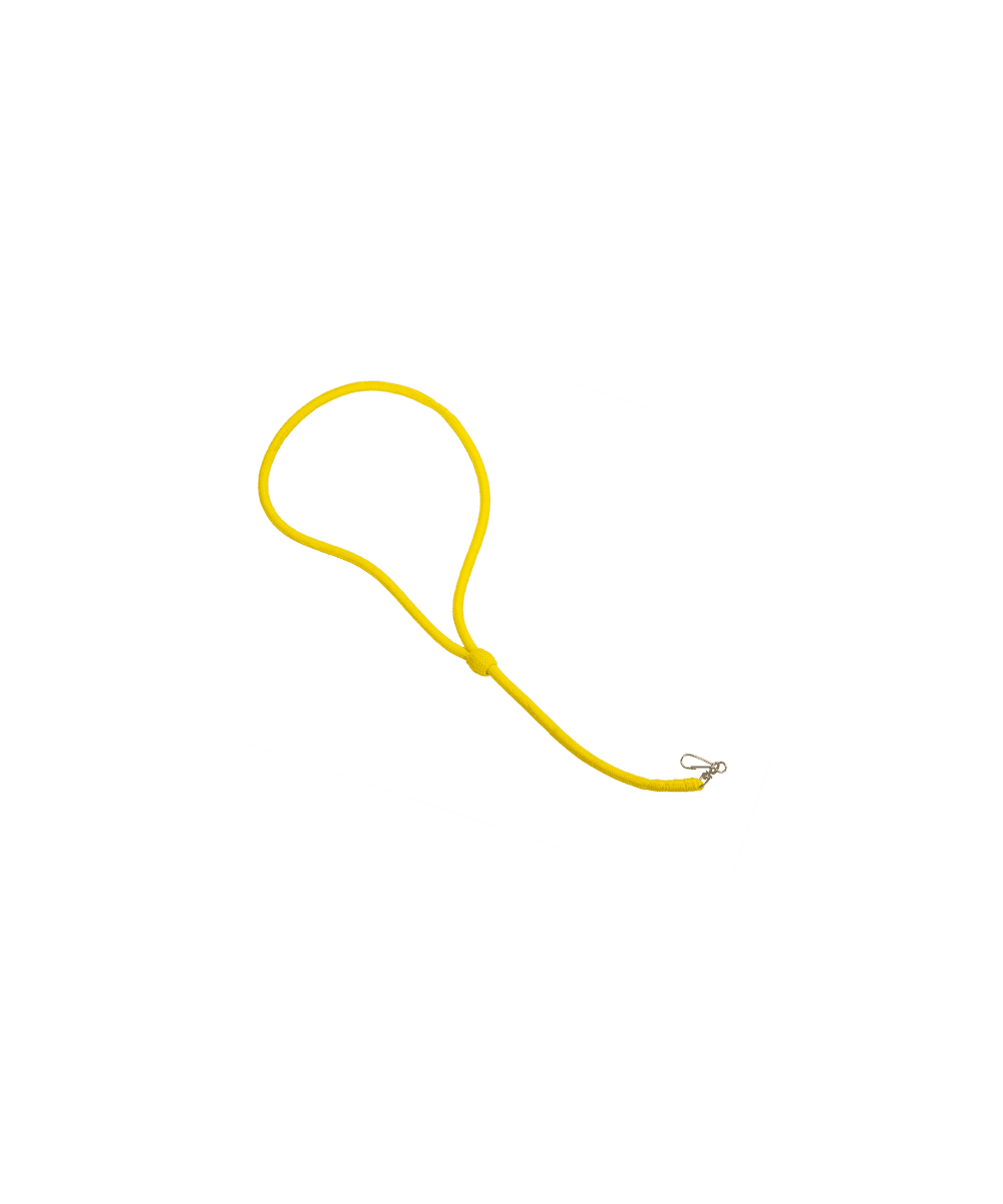 Lanyard